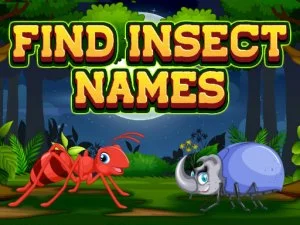 Find Insects Names